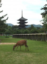 The Kōfukuji